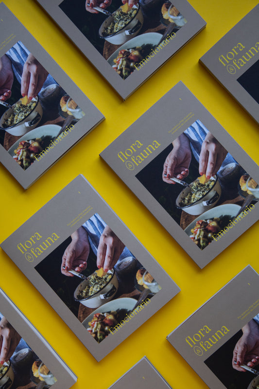 Primer libro de recetas: Emocionario